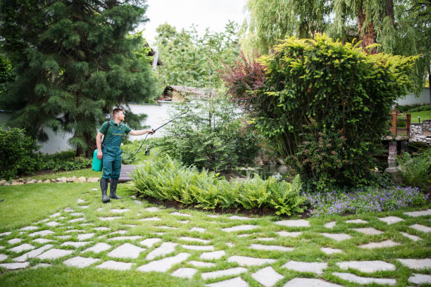 Best Residential Pest Control  in Redwater, TX