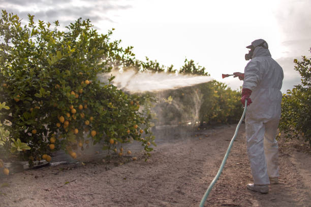 Trusted Redwater, TX Pest Control Experts