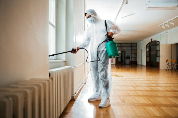Best Pest Removal Services  in Redwater, TX