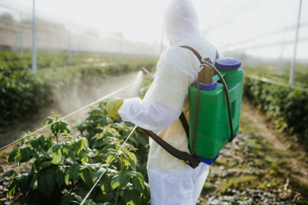 Best Pest Inspection Near Me  in Redwater, TX